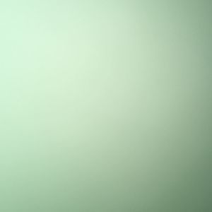 Meet your Posher, Bri